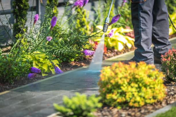 Best Driveway Pressure Washing  in Grapevine, TX